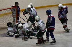 Бронза на домашнем льду