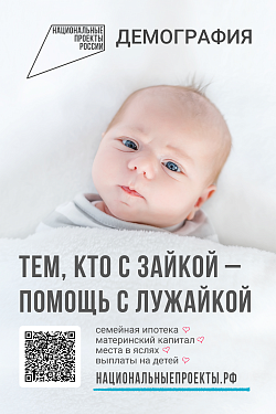  Национальный проект «Демография» 