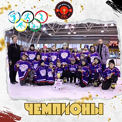 Наши хоккеисты везут домой золото!